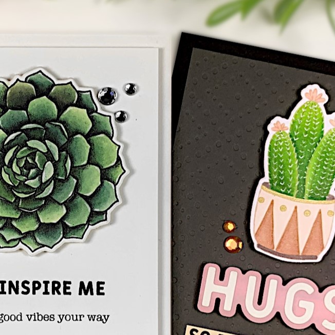 SPELLBINDERS PAPER ARTS | SUCCULENTS BY SIMON HURLEY – Armi e ritagli